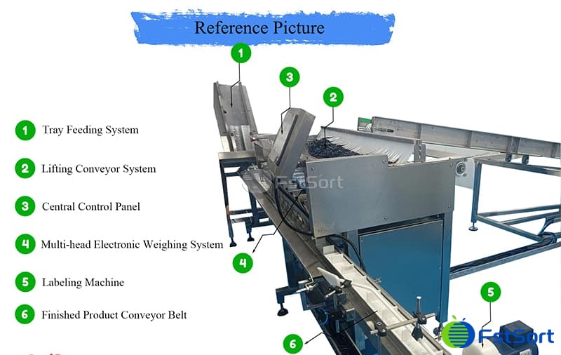 images/1742370388774equipo de envasado de frutas.jpg